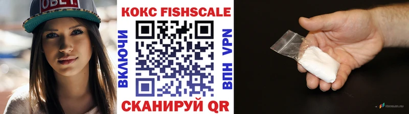 COCAIN Fish Scale  нарко площадка формула  Коломна 