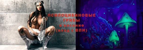 прущая мука Арсеньев