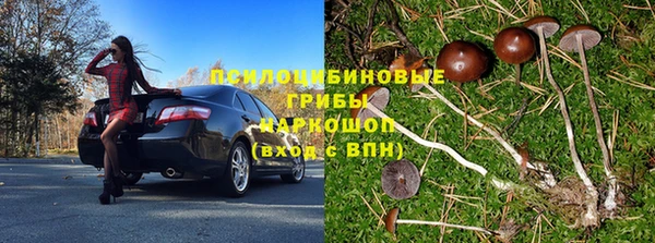 прущая мука Арсеньев