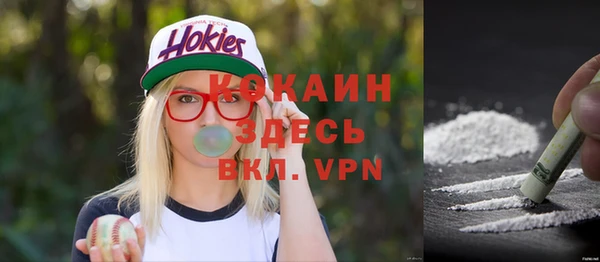 сатива Армянск