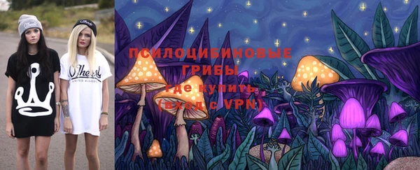 соль ск Алексеевка