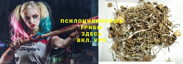 прущая мука Арсеньев