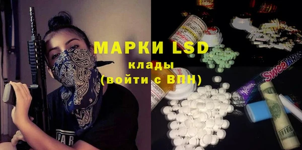 прущая мука Арсеньев