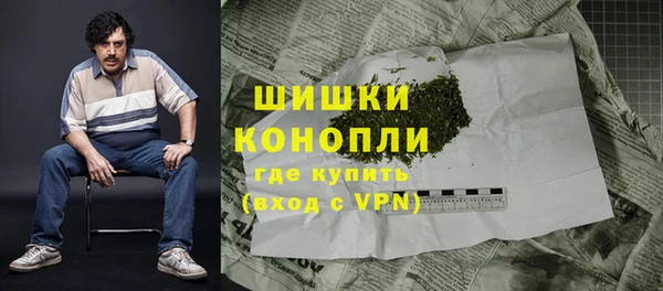 гашик Инсар