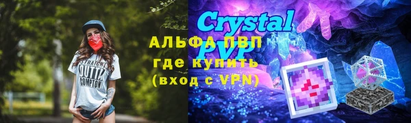 сатива Армянск