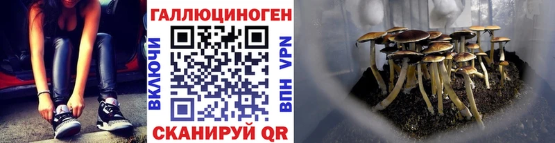 Псилоцибиновые грибы GOLDEN TEACHER Коломна